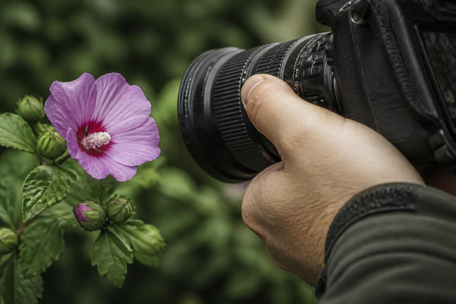 découvrez comment maîtriser la photographie macro avec l'objectif 18-200 mm grâce à nos conseils pratiques et techniques avancées pour des images nettes et détaillées.